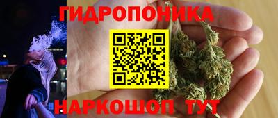 jwh Кандалакша