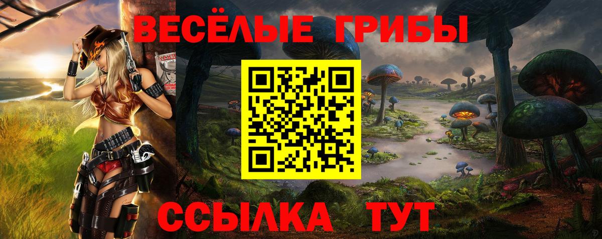 Гусиноозёрск  Псилоцибиновые грибы Psilocybe  как найти наркотики  Вход с VPN 